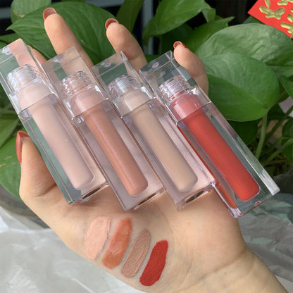 Transparent Tube Lip Gloss, P222