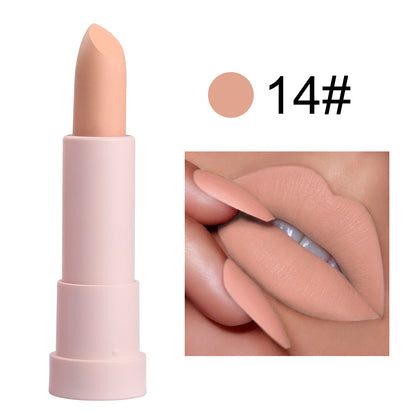 Pink and Gray Unicorn Shaped Lipstick, P192, P192-1