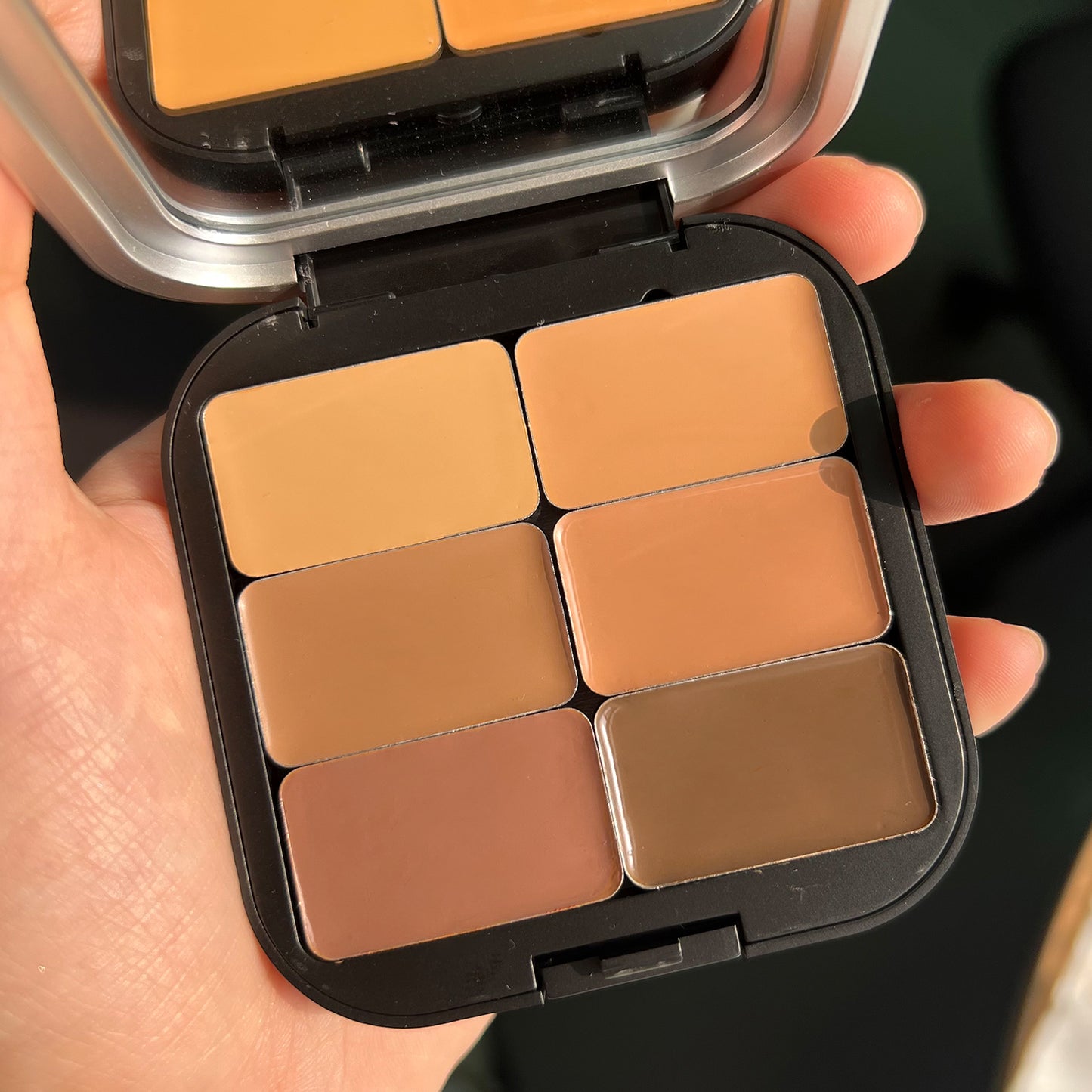 6-Color Concealer Palette